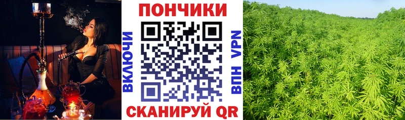 купить наркотик  Нефтеюганск  Шишки марихуана Ganja 